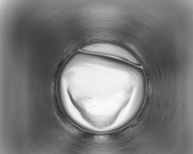 X0000070200451200606232043