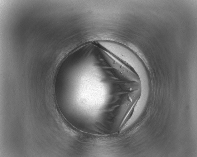 X0000070200481200606232043