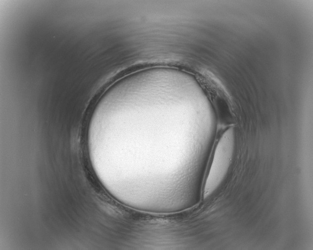 X0000070200483200606232043