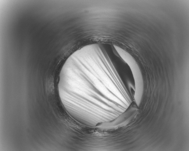 X0000070200508200606232042