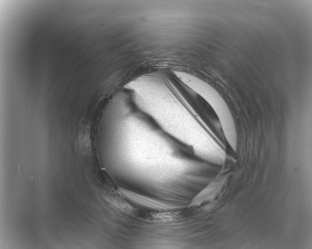 X0000070200516200606232042