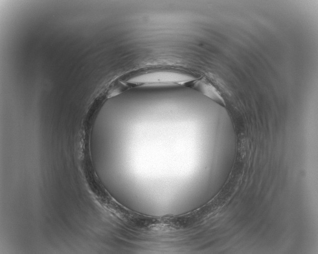 X0000070200544200606232041