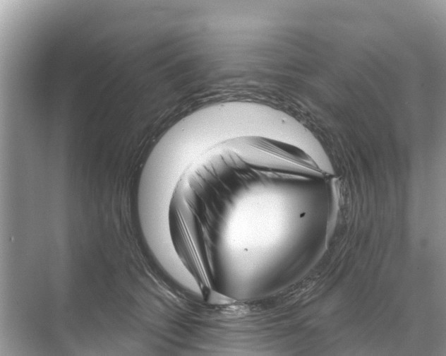 X0000070200562200606232041