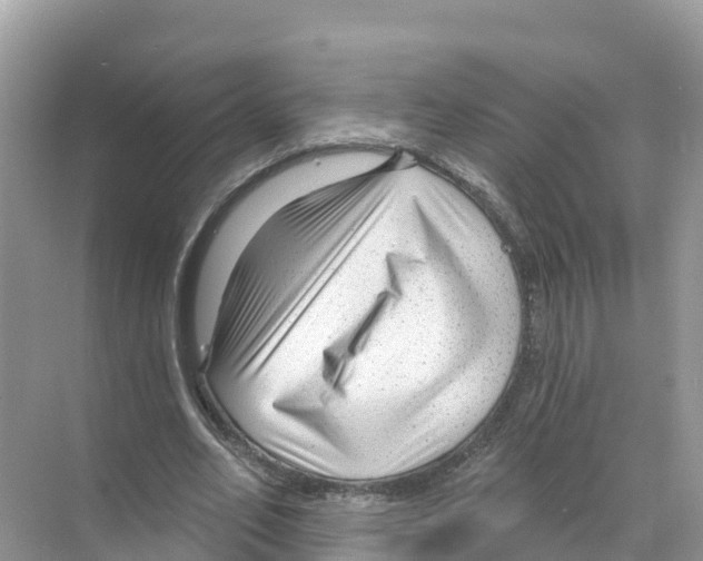 X0000070200582200606232041