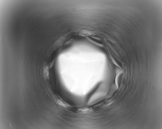 X0000070200621200606232040