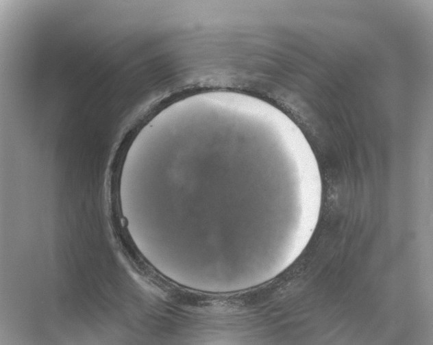 X0000070200678200606232039