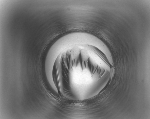 X0000070200692200606232039