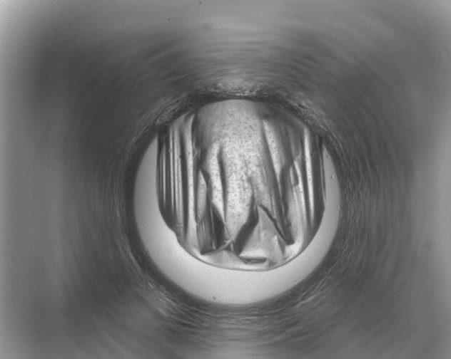 X0000070200693200606232039