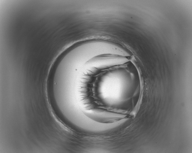 X0000070200726200606232038