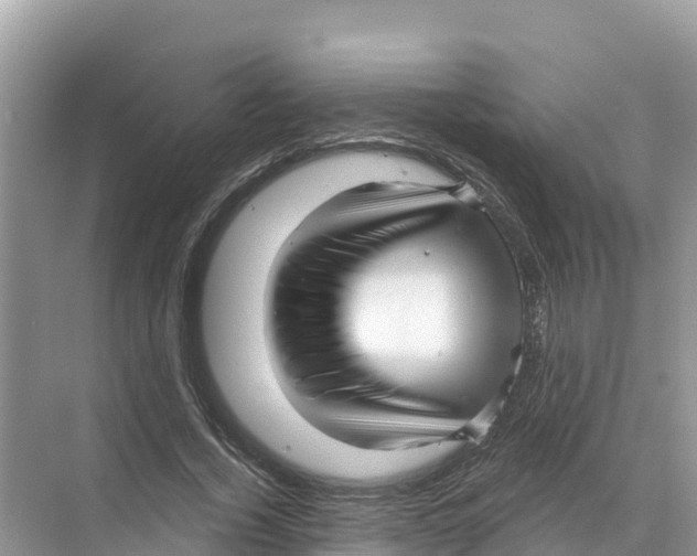 X0000070200732200606232038