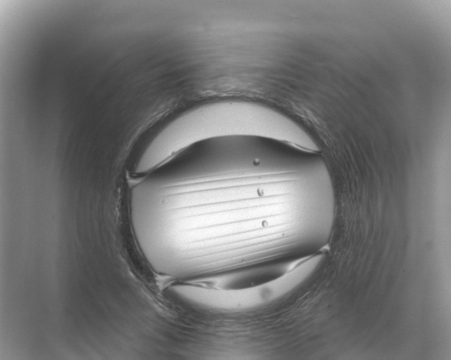 X0000070200735200606232038