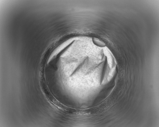 X0000070200736200606232038