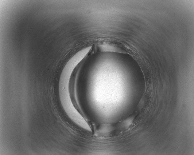 X0000070200750200606232038