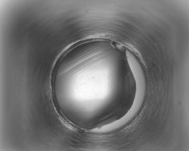 X0000070200792200606232037