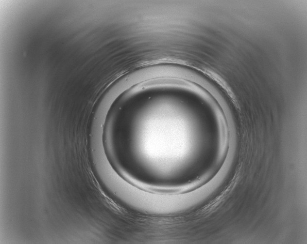 X0000070200793200606232037