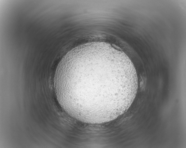 X0000070200819200606232036