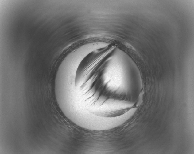 X0000070200822200606232036