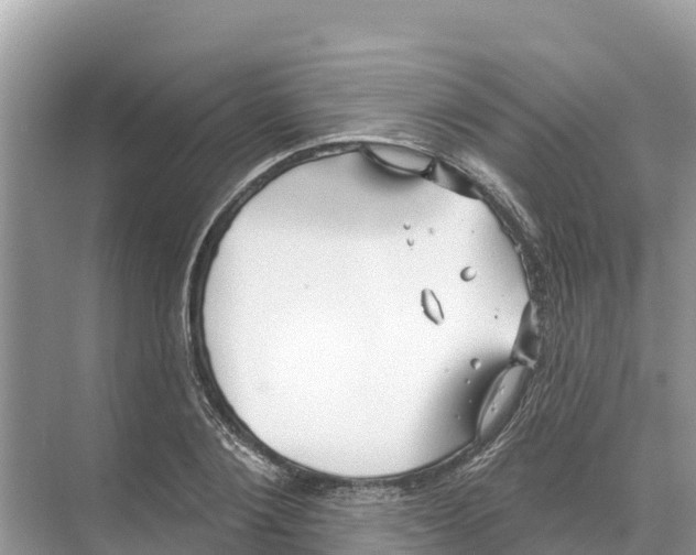X0000070200884200606232036