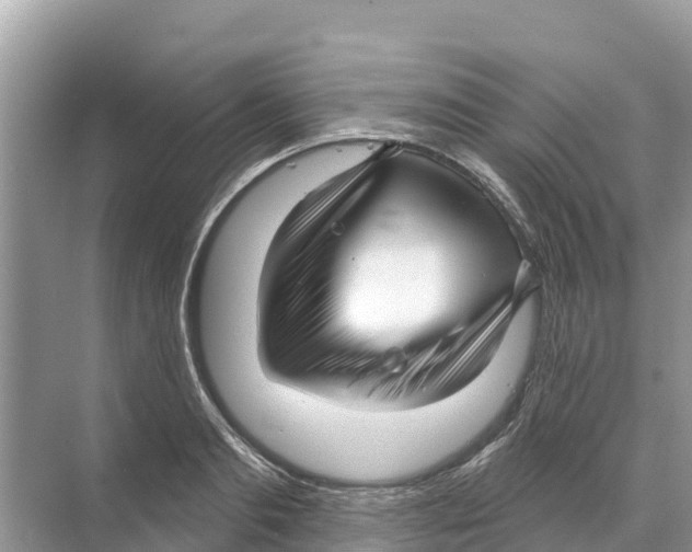 X0000070200893200606232036