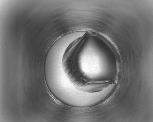 X0000070200897200606232036