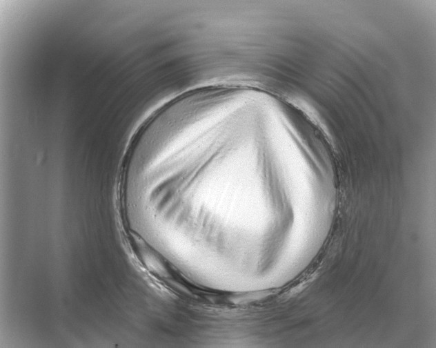 X0000070200952200606232035