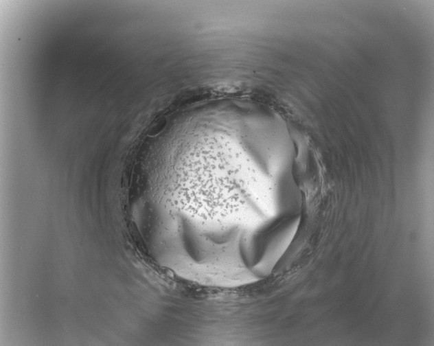 X0000070200961200606232034