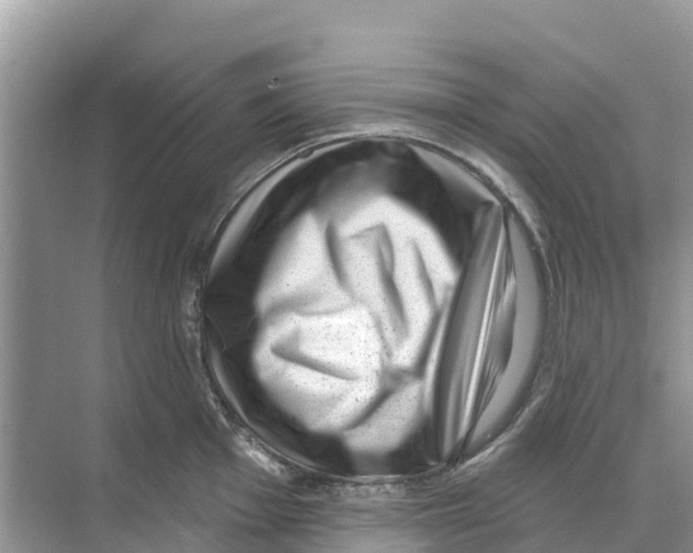 X0000070201001200606232034