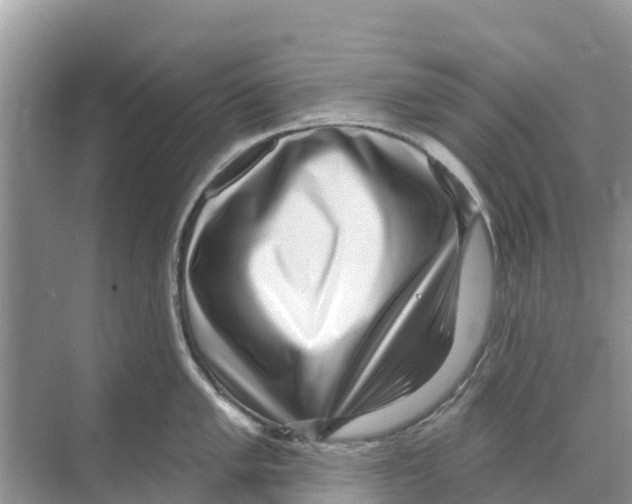 X0000070201005200606232034