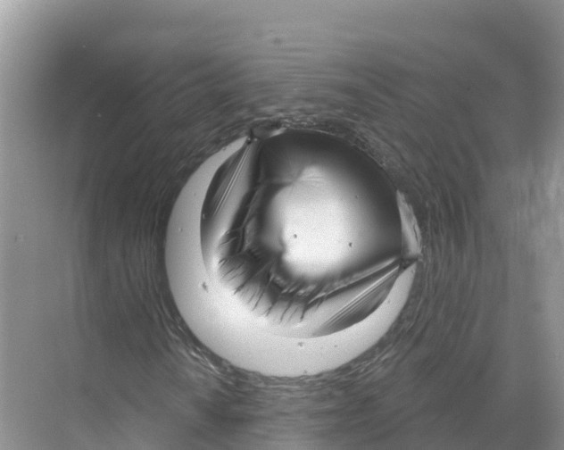 X0000070201010200606232033