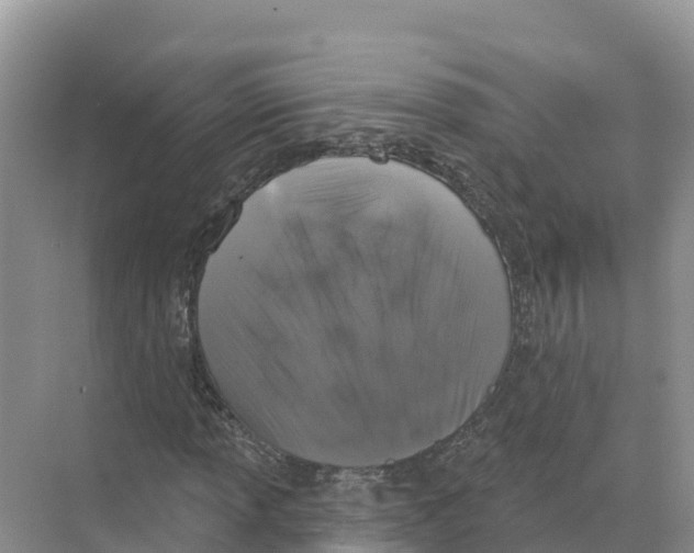 X0000070201013200606232033