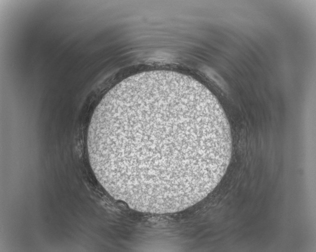 X0000070201015200606232033
