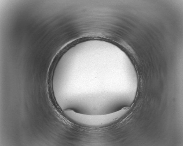 X0000070201020200606232033