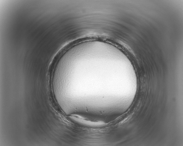 X0000070201021200606232033