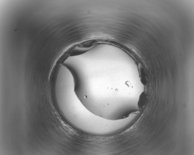 X0000070201022200606232033