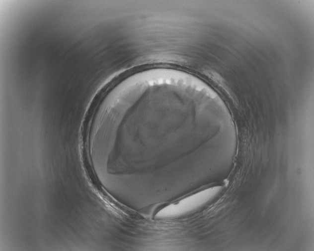 X0000070201024200606232033