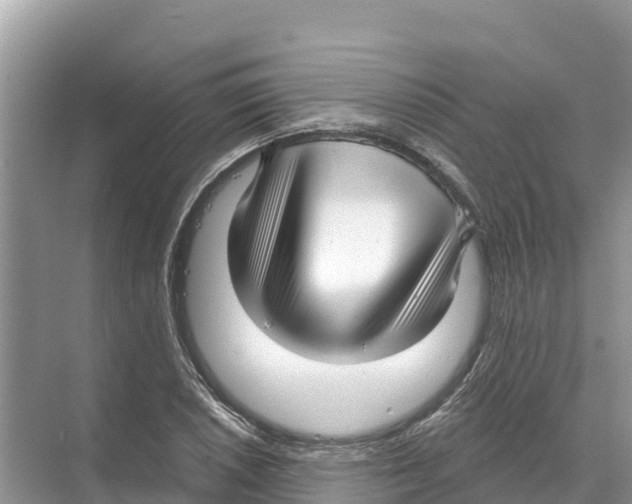 X0000070201026200606232033