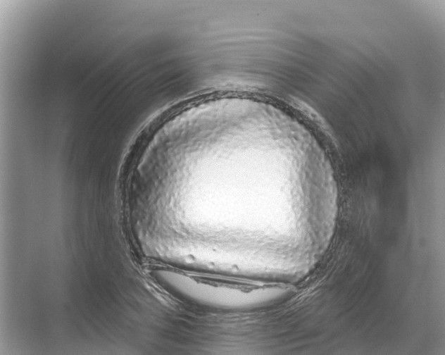 X0000070201027200606232033
