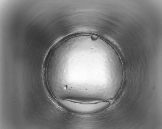 X0000070201029200606232033