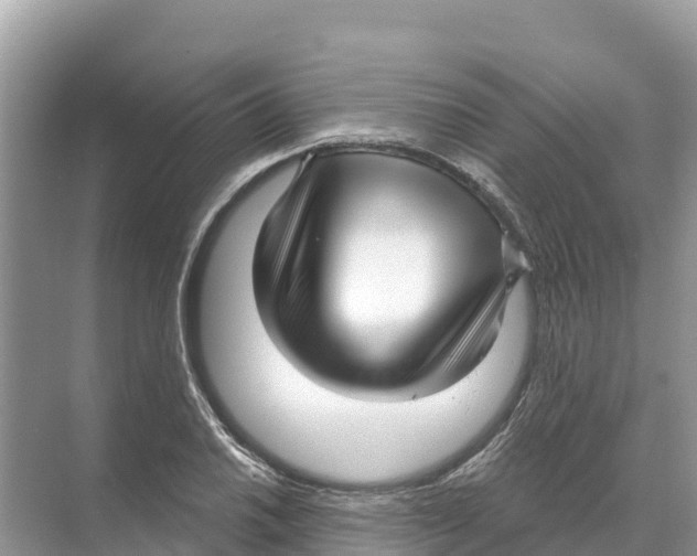 X0000070201030200606232033