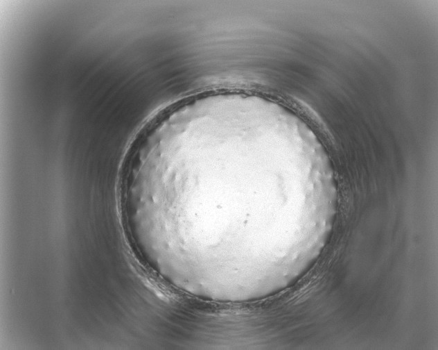 X0000070201035200606232033