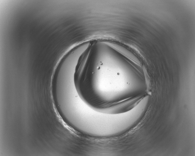 X0000070201038200606232033