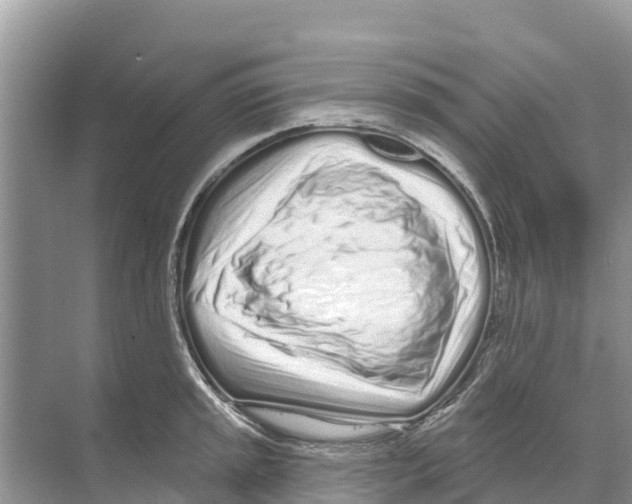 X0000070201045200606232033