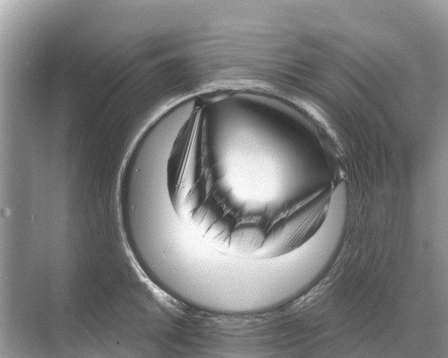 X0000070201046200606232033