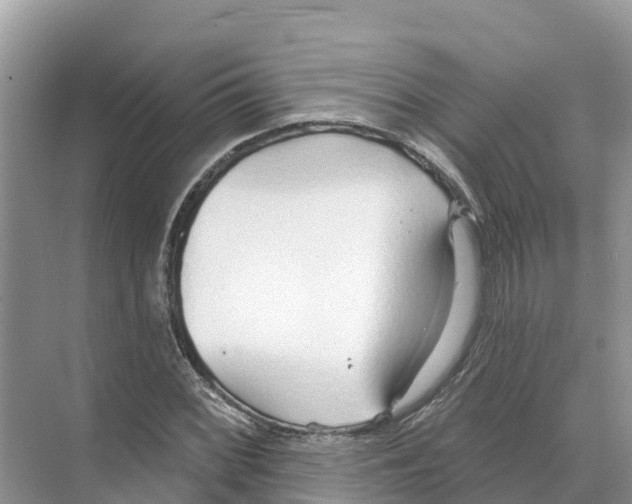 X0000070201068200606232033