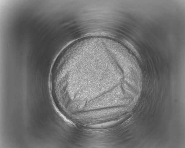 X0000070201084200606232032