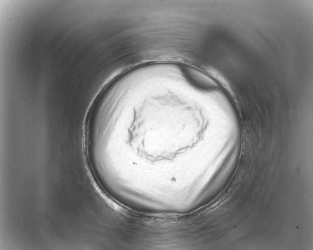 X0000070201095200606232032