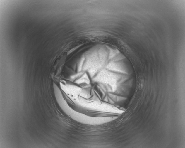 X0000070201108200606232031