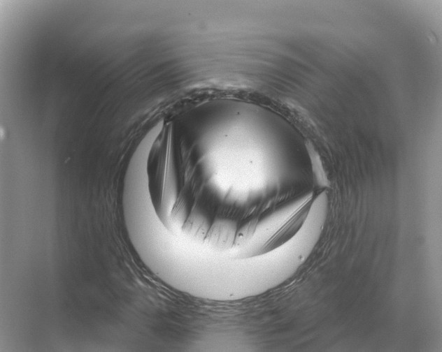 X0000070201110200606232031