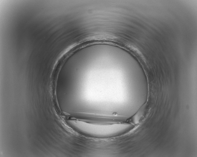 X0000070201114200606232031