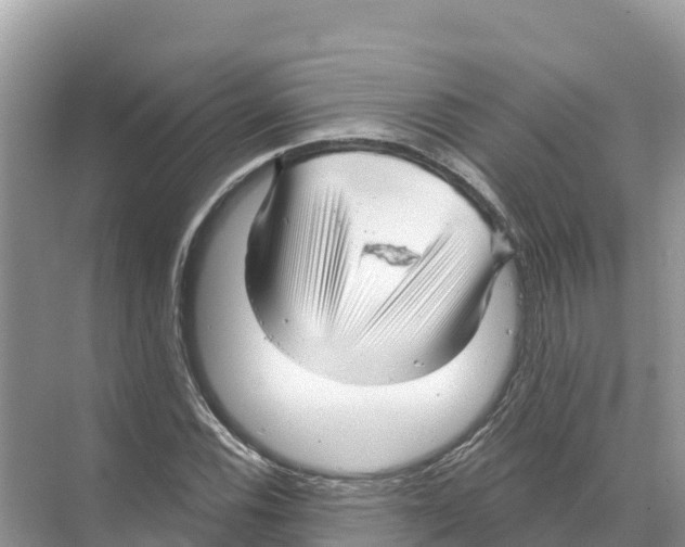 X0000070201116200606232031